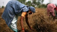 India: Their National I.D. Card and the World’s Largest Administrative Task In early 2010 India will begin what some have called the world’s largest administrative task, recording their national census. A formidable task for any nation, India is attempting to push the...
