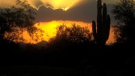Scottsdale, Arizona: A Cultural Oasis in the Desert Need a change of scenery but want to economize your vacation? Scottsdale and its neighboring cities could be just what you’re looking for. Typically, on first glance, it’s a city...