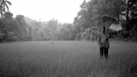 Mangalore, India: A Rising Fall The rain is blinding. I tip-toe through the overwhelming, boundless sheet of water – and sole proprietor of the massive green fluorescence that surrounds me. A thick drop slaps my...