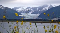 Lost in one Forest, or Another One of the main reasons for my planned escape to Alaska’s wilderness was to experience a polar opposite. After spending months in tropical forests of Central and South America, I...