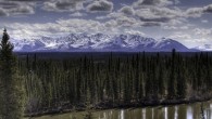 Keeping Silence Extant in Alaska Surrounded by Sitka spruce trees, beneath the twitter of birds in remote Alaska, I remember an article I read in the New York Times a few weeks back. The article...