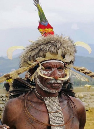 Dani Tribesman