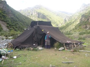 Tibetan Nomad Camp
