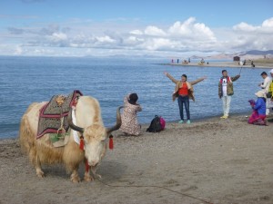 Chinese Selfie Stick in Tibet