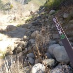 Sespe River Trail