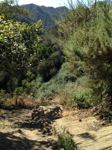 Murphy Ranch 