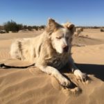 Imperial Sand Dunes/Algodones Sand Dunes